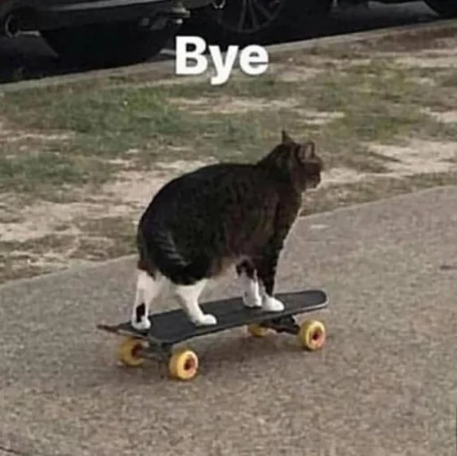✋ Стикер «cutecats 3» для Telegram