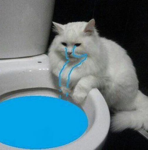 😭 Стикер «cutecats 3» для Telegram