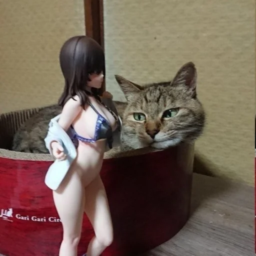 😻 Стикер «cutecats 3» для Telegram
