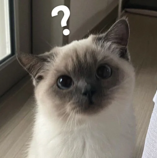 ❔ Стикер «cutecats 3» для Telegram
