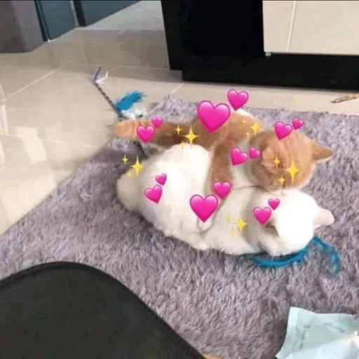 💞 Стикер «cutecats 3» для Telegram