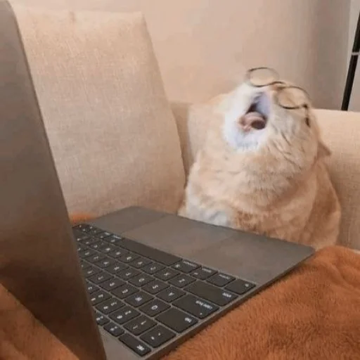 😫 Стикер «cutecats 3» для Telegram