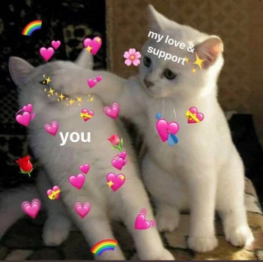 💞 Стикер «cutecats 3» для Telegram