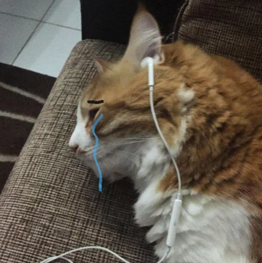 😿 Стикер «cutecats 3» для Telegram