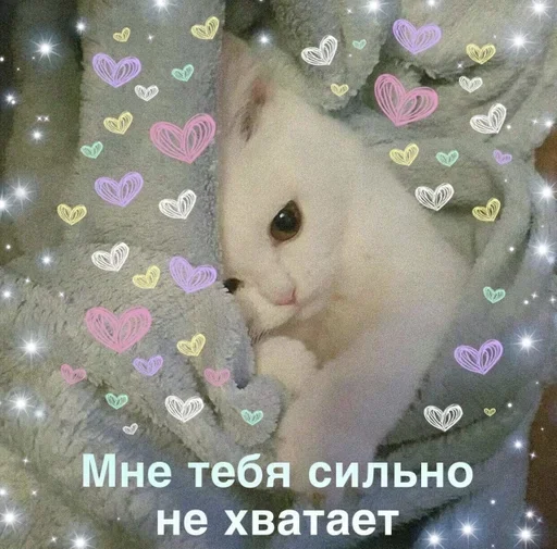 🥺 Стикер «ᴥ» для Telegram