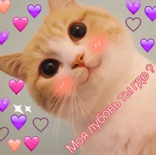 💜 Стикер «ᴥ» для Telegram