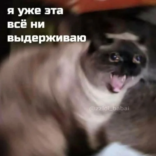 😫 Стикер «ᴥ» для Telegram