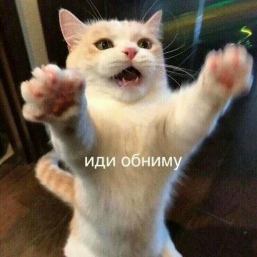 🤗 Стикер «ᴥ» для Telegram