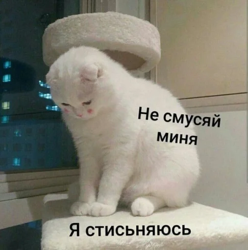 🥰 Стикер «ᴥ» для Telegram