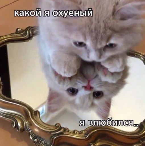 😻 Стикер «ᴥ» для Telegram