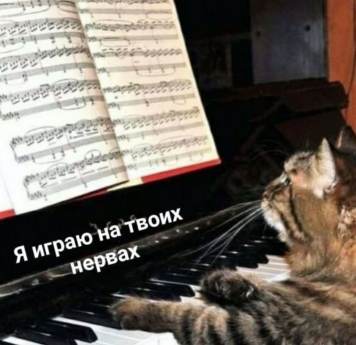 🎹 Стикер «ᴥ» для Telegram