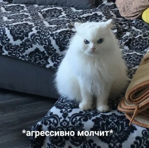 😾 Стикер «ᴥ» для Telegram