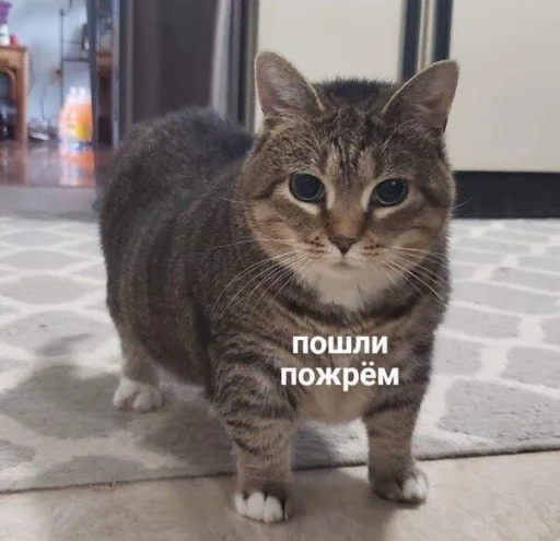 😋 Стикер «ᴥ» для Telegram