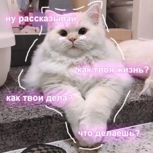💗 Стикер «ᴥ» для Telegram
