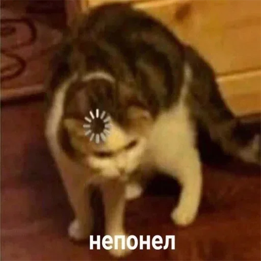 🤨 Стикер «ᴥ» для Telegram