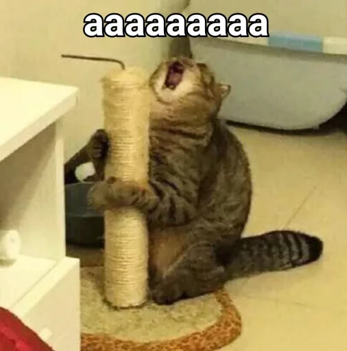 😫 Стикер «ᴥ» для Telegram