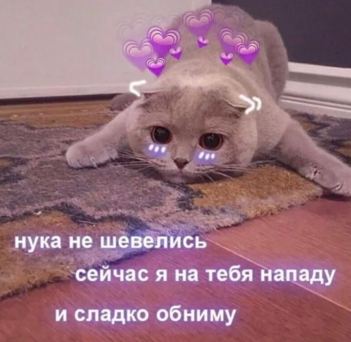 💜 Стикер «ᴥ» для Telegram