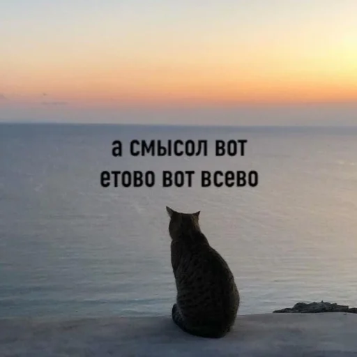 🤔 Стикер «ᴥ» для Telegram