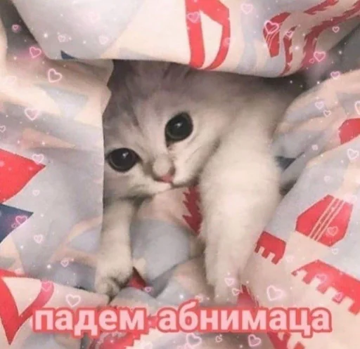 🤗 Стикер «ᴥ» для Telegram