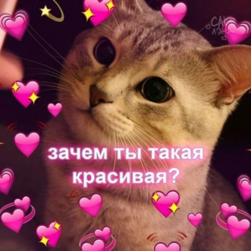💖 Стикер «ᴥ» для Telegram
