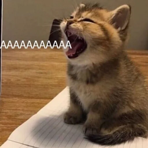 😫 Стикер «ᴥ» для Telegram