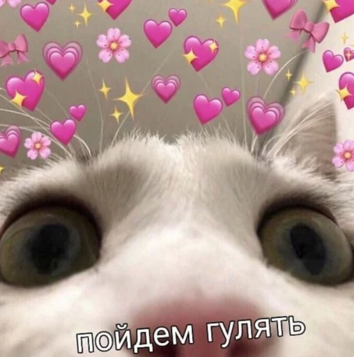 👀 Стикер «ᴥ» для Telegram