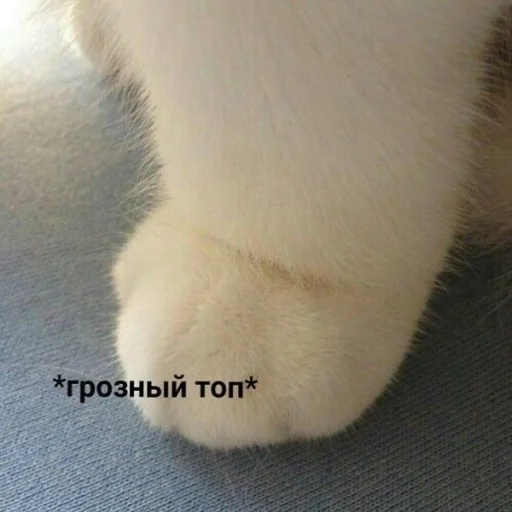 🐾 Стикер «ᴥ» для Telegram
