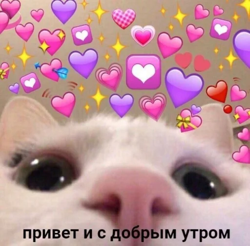 🌞 Стикер «ᴥ» для Telegram