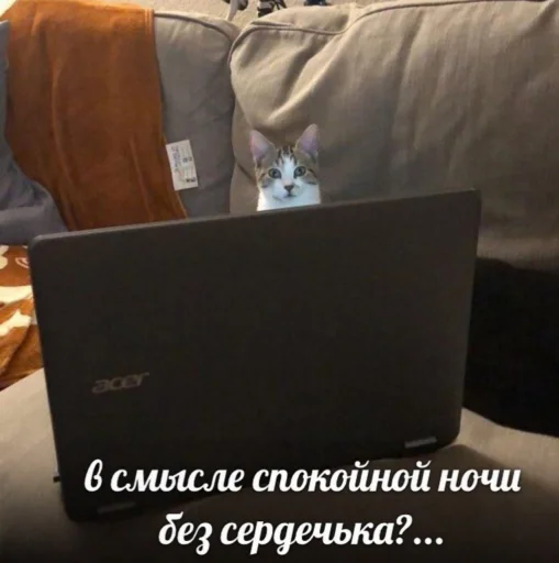 ⁉️ Стикер «ᴥ» для Telegram