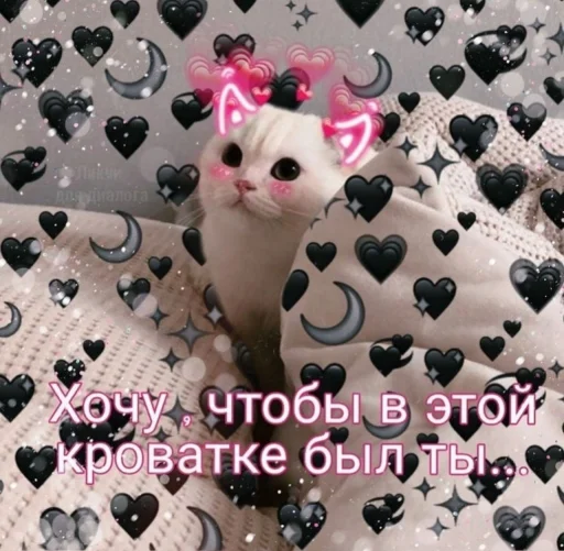 🖤 Стикер «ᴥ» для Telegram
