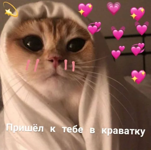 💖 Стикер «ᴥ» для Telegram