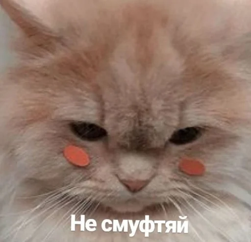 🥰 Стикер «ᴥ» для Telegram