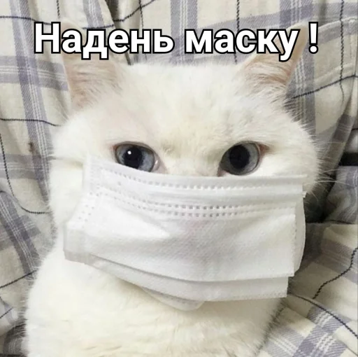 😷 Стикер «ᴥ» для Telegram