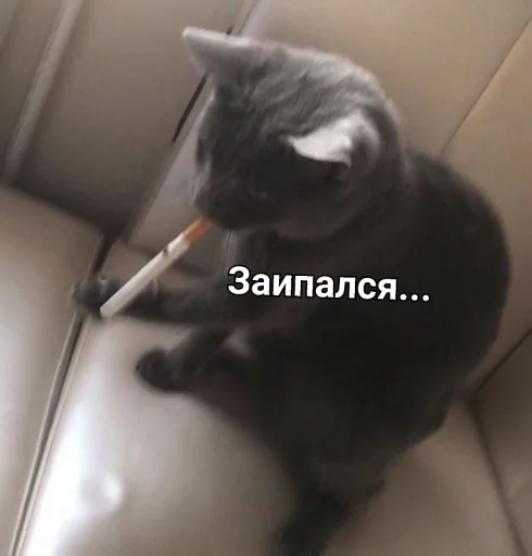 🚬 Стикер «ᴥ» для Telegram