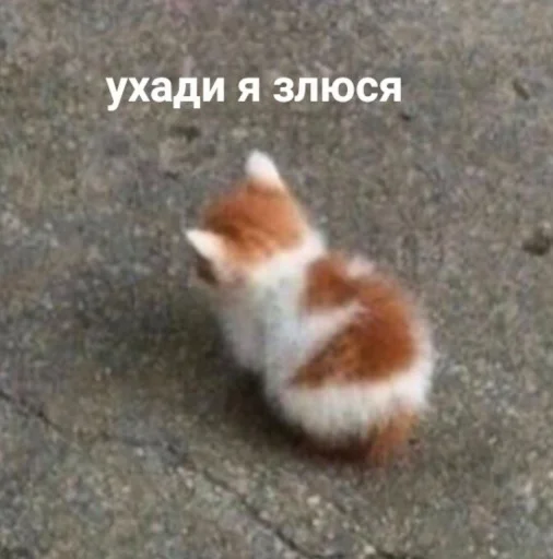 😒 Стикер «ᴥ» для Telegram