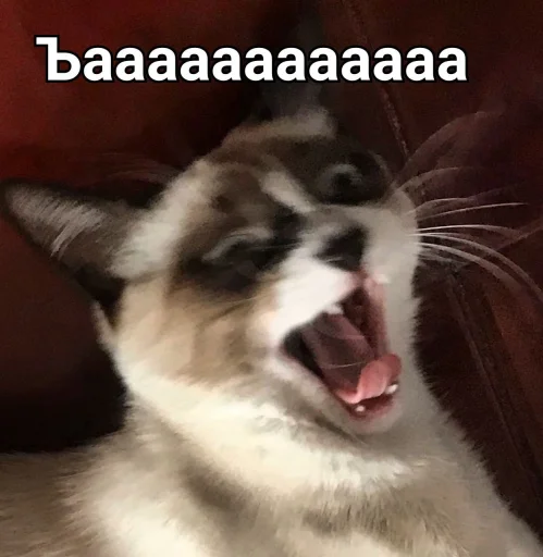 😫 Стикер «ᴥ» для Telegram