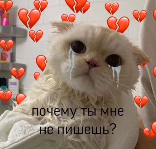 💔 Стикер «ᴥ» для Telegram