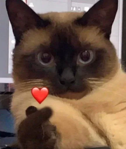 Стикерпак ˶•ㅅ•˵ для Telegram