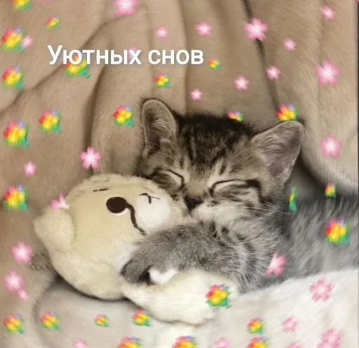 😴 Стикер «˶•ㅅ•˵» для Telegram