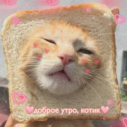 🍞 Стикер «˶•ㅅ•˵» для Telegram