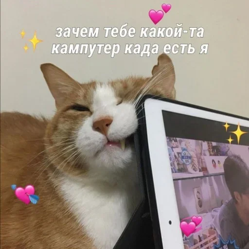 🥲 Стикер «˶•ㅅ•˵» для Telegram