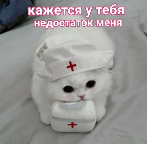 👩‍⚕️ Стикер «˶•ㅅ•˵» для Telegram