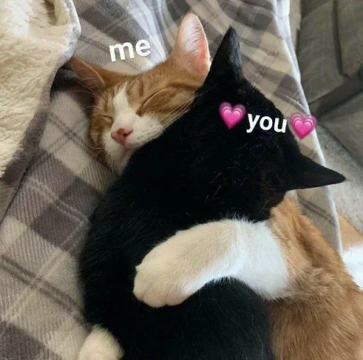 ❤️ Стикер «˶•ㅅ•˵» для Telegram