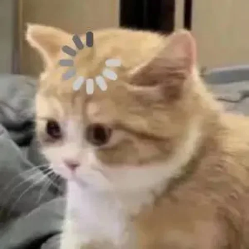 😕 Стикер «˶•ㅅ•˵» для Telegram