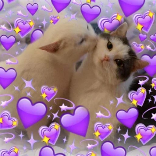 💘 Стикер «˶•ㅅ•˵» для Telegram