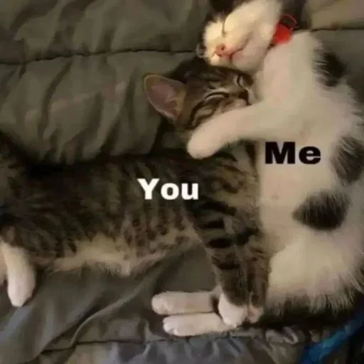 😚 Стикер «˶•ㅅ•˵» для Telegram