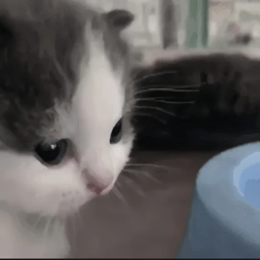 🍄 Стикер «cutecat^^» для Telegram