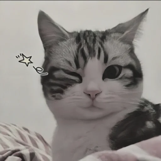🍄 Стикер «cutecat^^» для Telegram