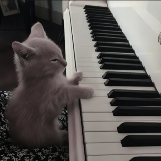 🍄 Стикер «cutecat^^» для Telegram