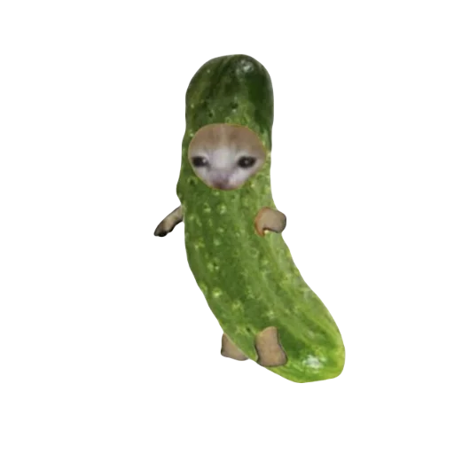 🥒 Стикер «Catzzz!» для Telegram